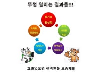 송아지,한우,젖소,육우관리-티디바이오
