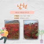 갤러리 (사진)-서순천정원영농조합법인
