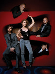 카디건스 The Cardigans