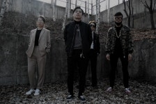 하운드투스 Hound Tooth