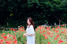 한올 Han-All