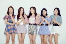 베리굿 BerryGood