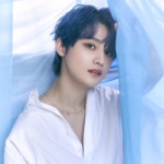 바오 Bao