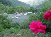 산으로 간 니모