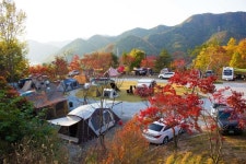 서대산드림캠핑파크&오토캠핑장