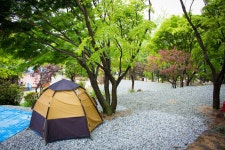 서대산드림캠핑파크&오토캠핑장