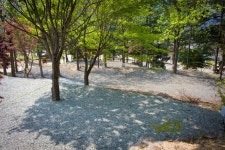 서대산드림캠핑파크&오토캠핑장