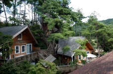 캐빈타운 독채가족펜션