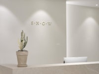 스노우의원 세종점