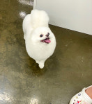 씨유펫 검단신도시점