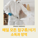 딩굴댕굴 애견호텔유치원
