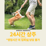 딩굴댕굴 애견호텔유치원