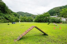 리조트&캠핑 라이프위드도그