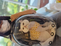 잔다냥 안산점