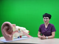 벨톤보청기 광명난청센터