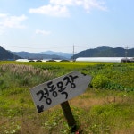 정동목장