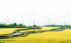 낙안읍성 시간여행민박