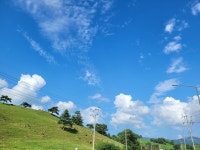 대관령요들레이펜션