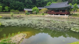 농업회사법인왕피천힐링팜