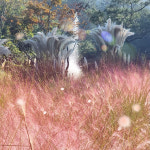 하늘빛수목정원&글램핑장