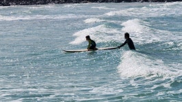 함덕스쿠버 다이빙&서핑&스노클&전동스쿠터