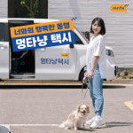 멍타냥택시
