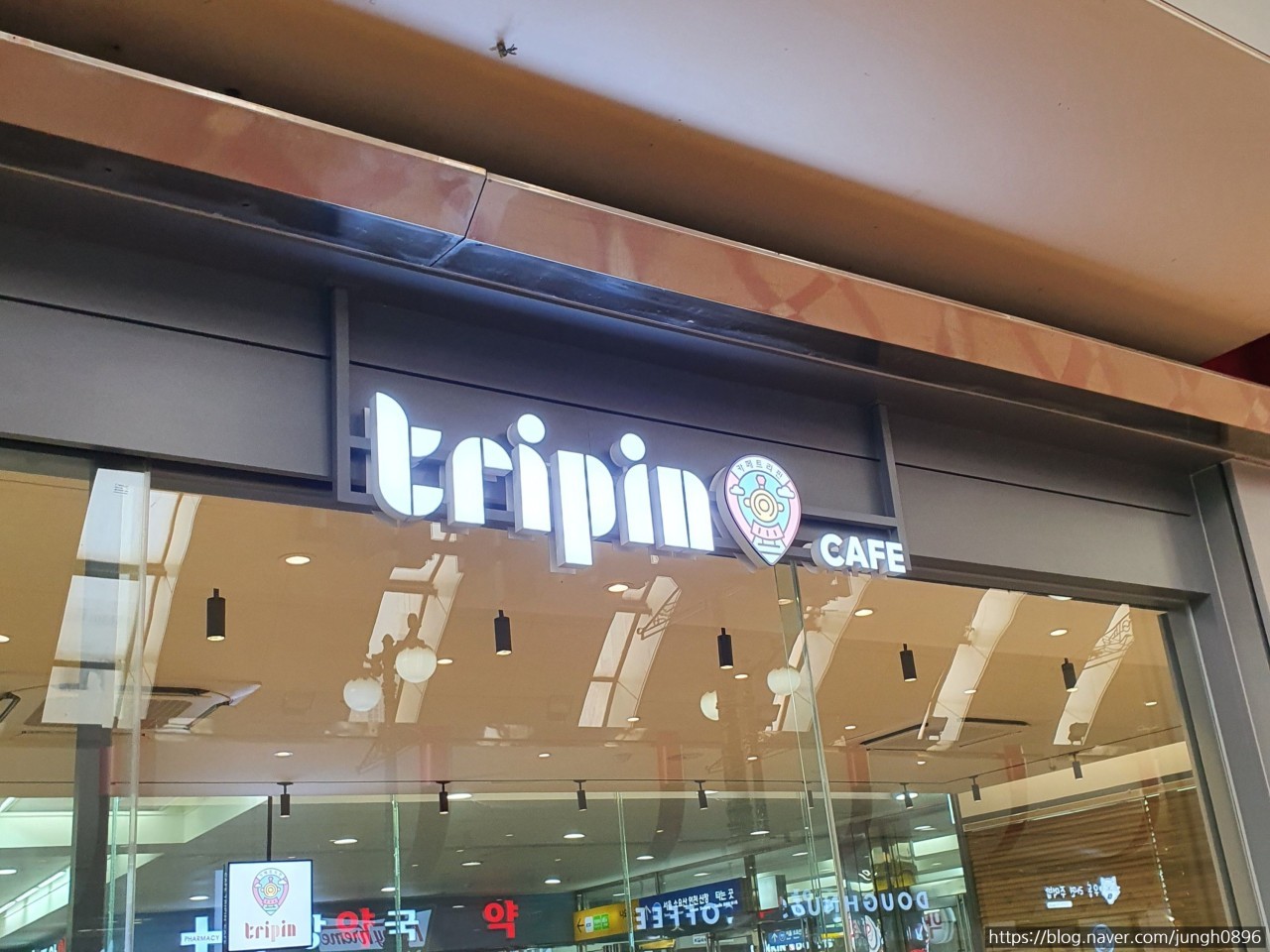 트리핀(Tripin) 이미지