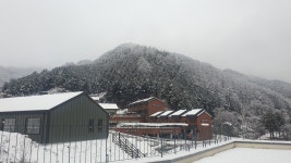 가평산림생태문화체험단지