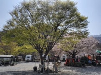 지리산카라반캠핑장;다촌민박 | 지리산벚꽃카라반캠핑장