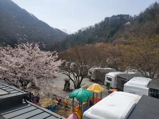 지리산벚꽃카라반캠핑장 사진