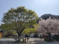 지리산벚꽃카라반캠핑장