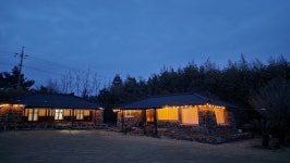 담이네