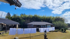 담이네