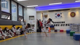 용인대 태권도 상신 정도장
