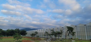 별빛농장