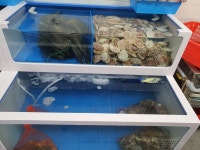 찌마기 연신내점