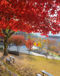 루몽드917