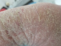 레푸스 방이역점