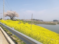 남해포레스오토캠핑장
