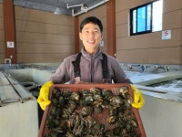 하나수산