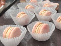 코리아바리스타제과제빵학원 대구지점