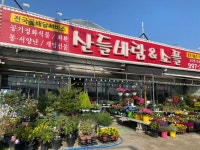 산들바람