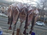 사량도너울펜션