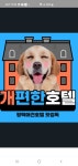 왓썹독