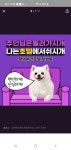 왓썹독