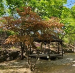 미산가족오토캠핑장