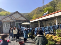 꽃차하늘바라기