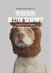 부산애견호텔 강아지유치원 펫퍼센트 코모네하우스