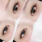 쉬즈래쉬(She's Lash) | 래쉬즈