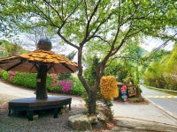 동강할미꽃펜션